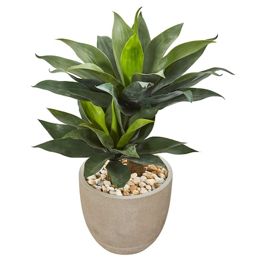 Michaels, 3ft. Double Agave Succulent in Sand Stone Planter – Category: Potted Plants